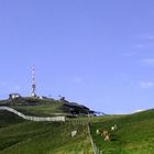 Kitzbüheler Horn in der Abendsonne