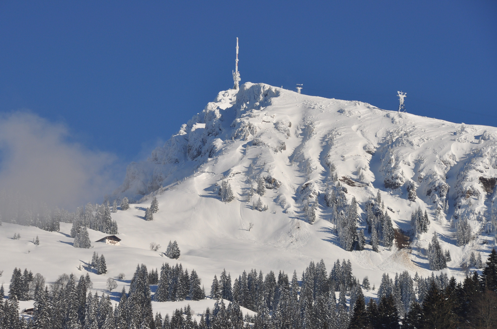 Kitzbüheler Horn mit Goinger Alm