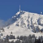 Kitzbüheler Horn mit Goinger Alm