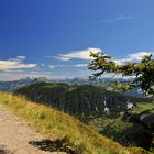 Kitzbühler Alpen