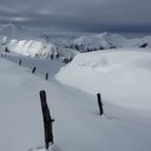 Kitzbühler Alpen