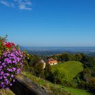 Kitzeck, südsteirische Weinstraße