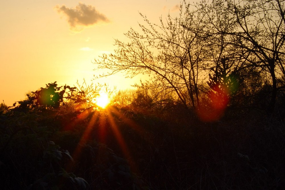 Kitzelnde Sonnenstrahlen