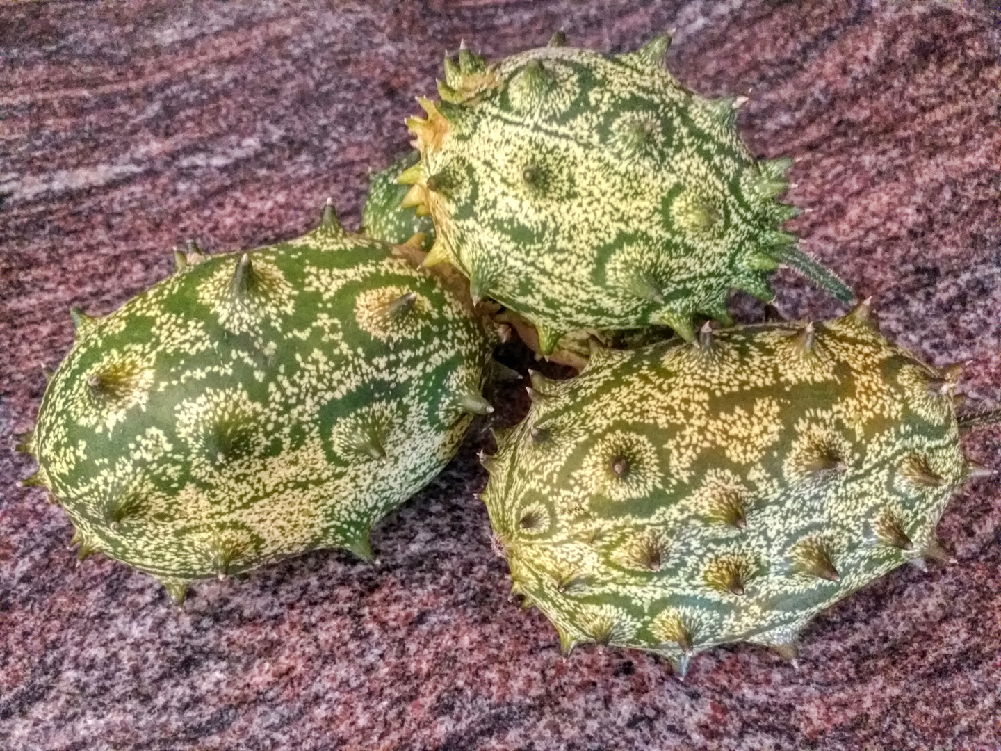 Kiwano