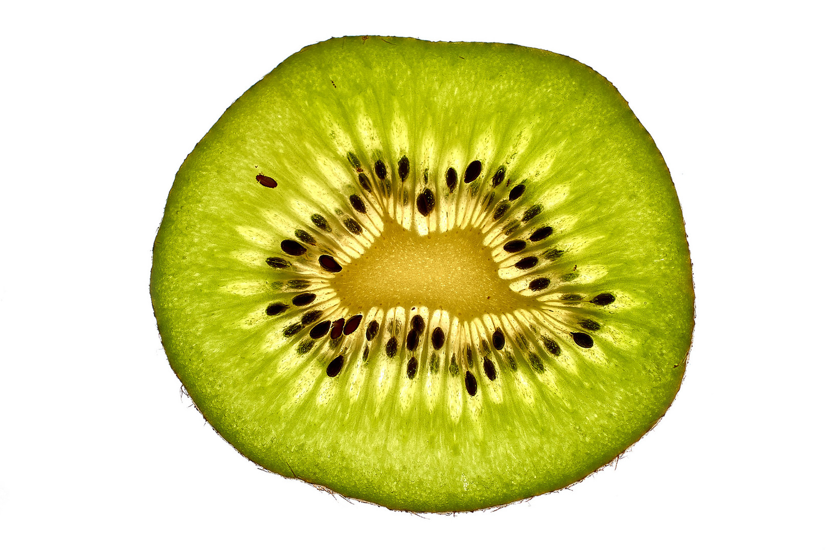 Kiwi