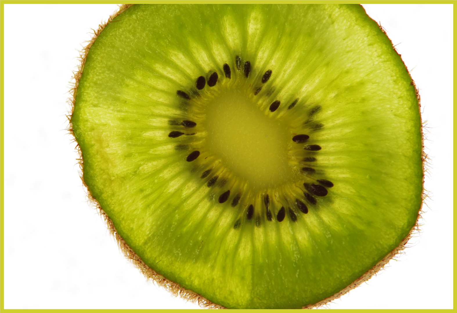 Kiwi