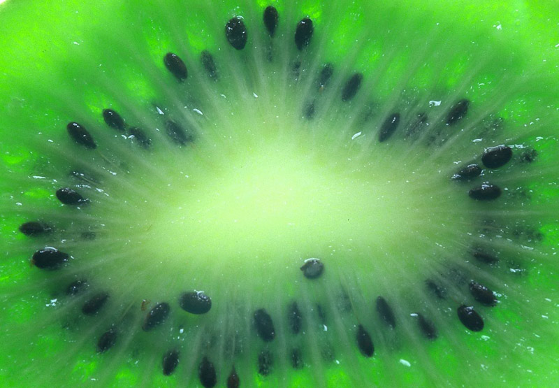 Kiwi