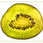 Kiwi 1. Versuch