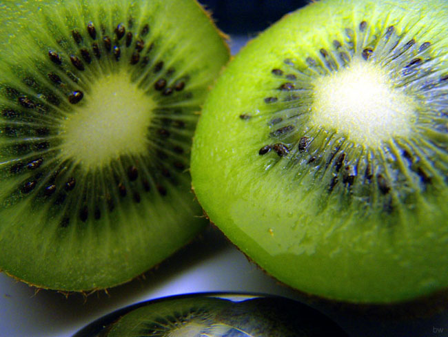 kiwi