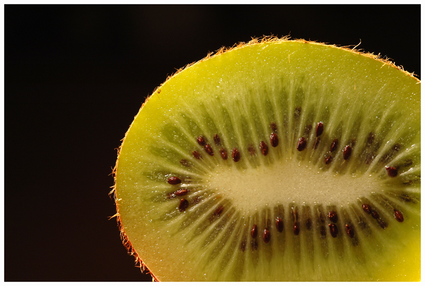 >Kiwi