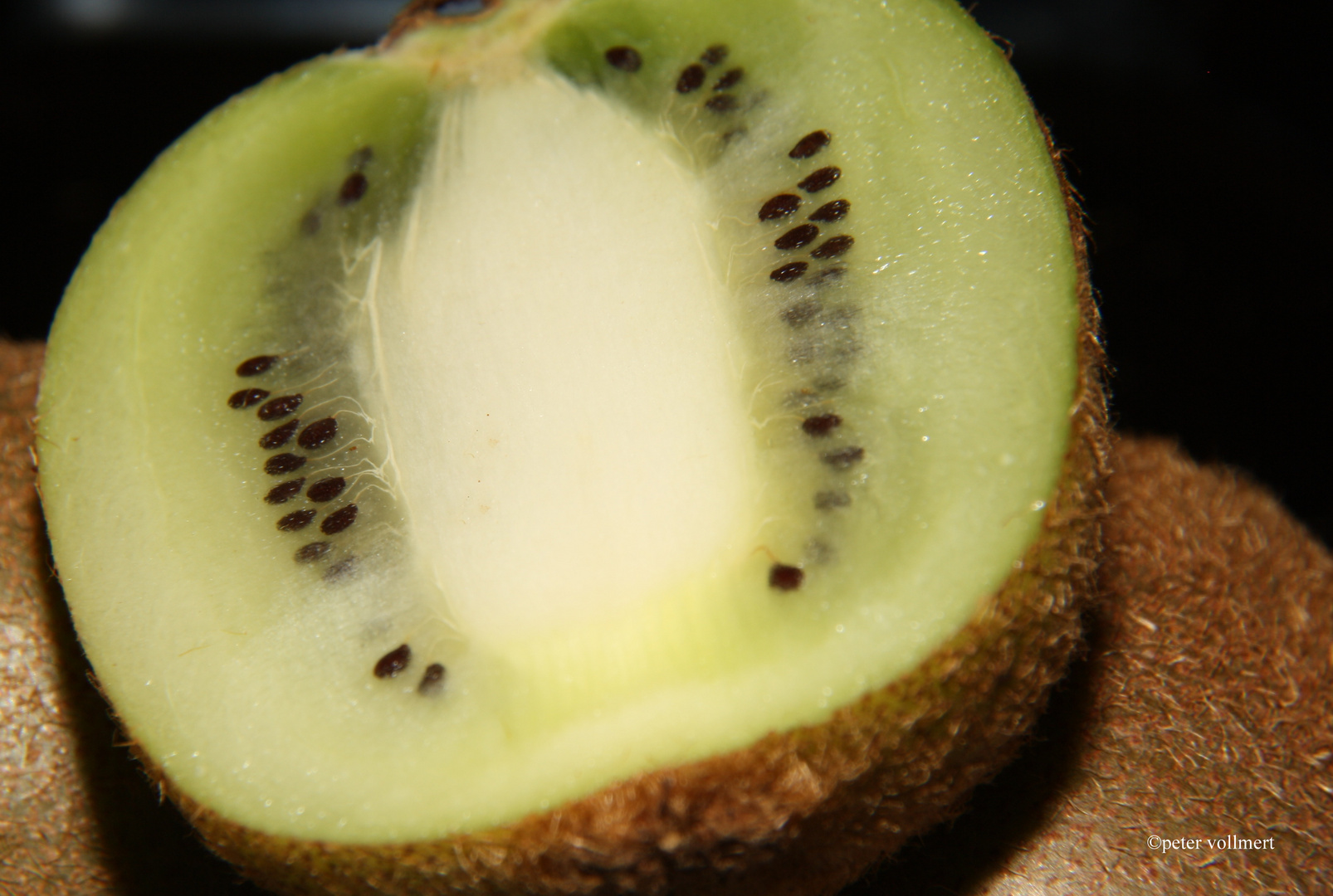 Kiwi 2