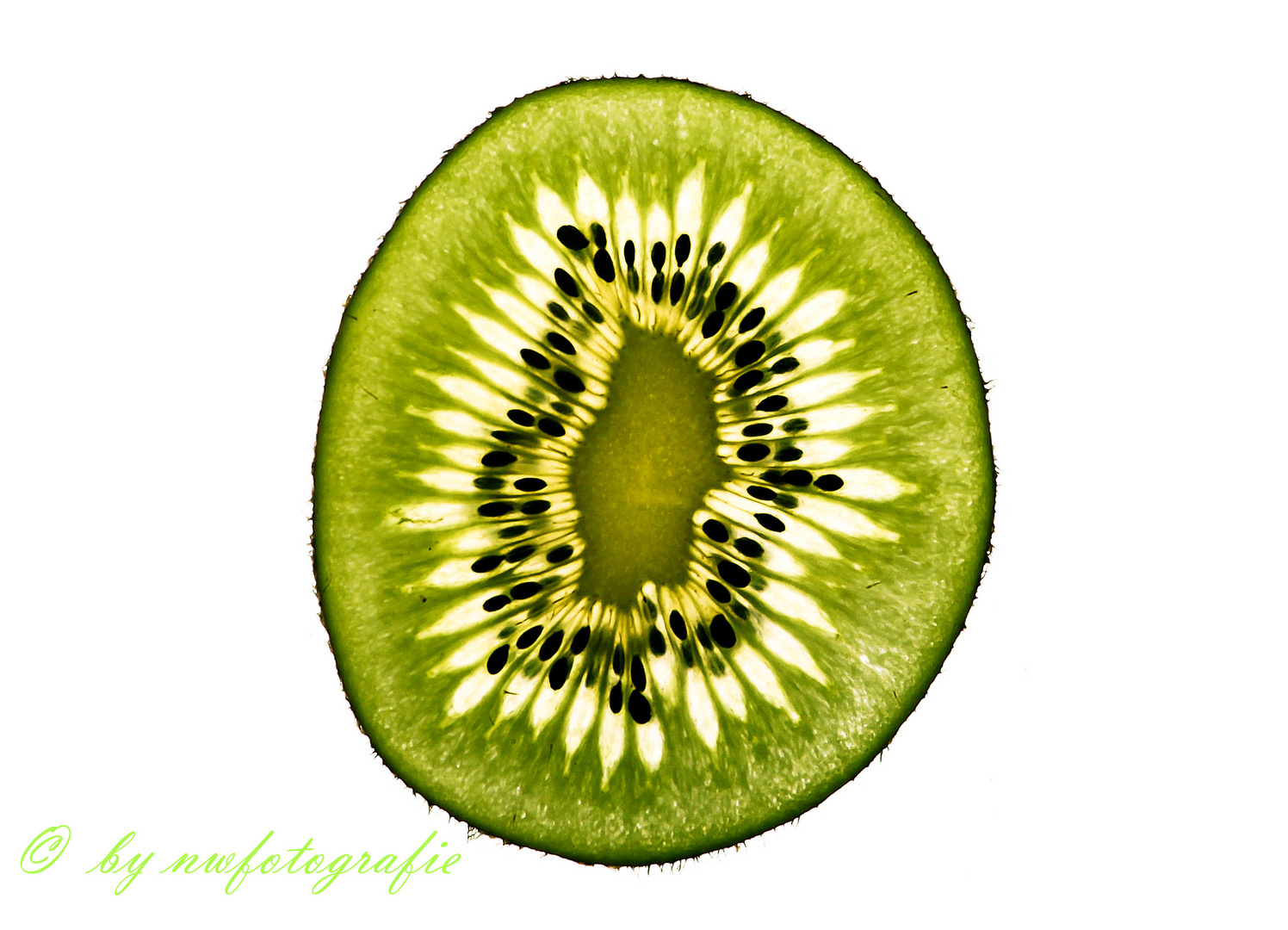 Kiwi