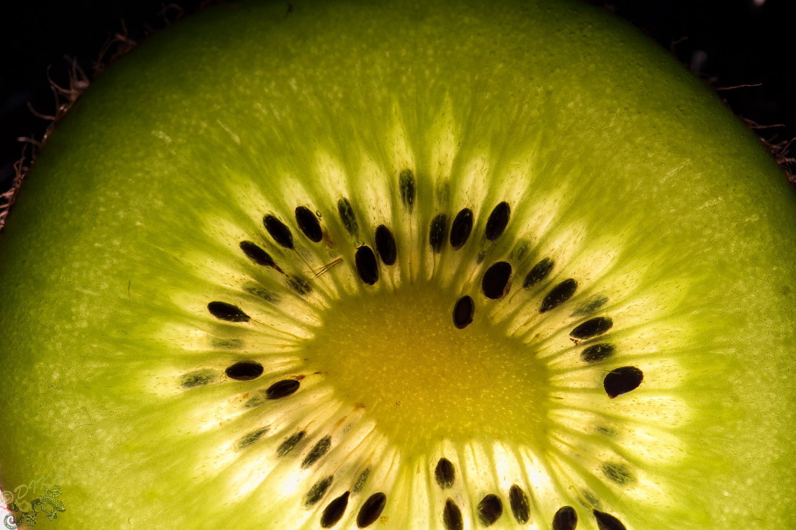 Kiwi