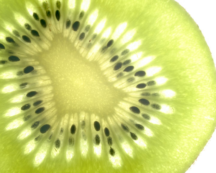 Kiwi 3