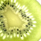 Kiwi 3