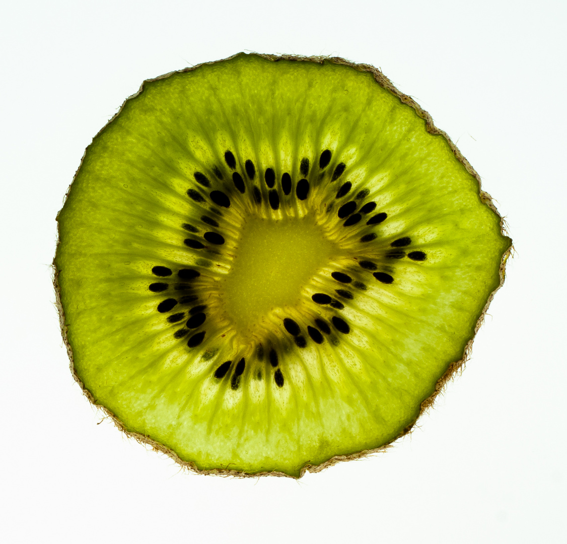 KIWI