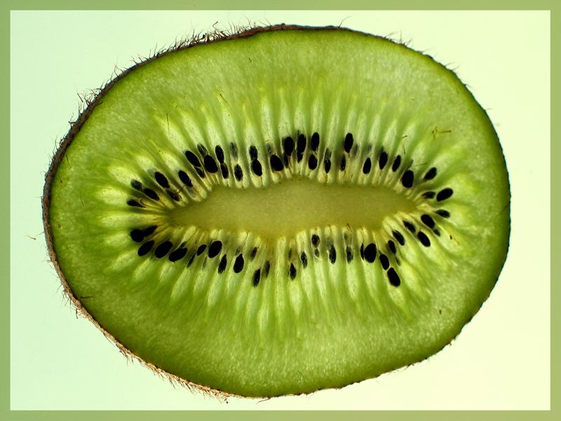 Kiwi