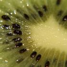 Kiwi 4 Macro