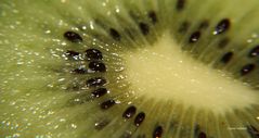 Kiwi 4 Macro