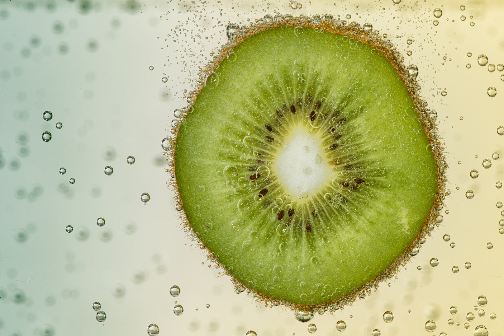 Kiwi