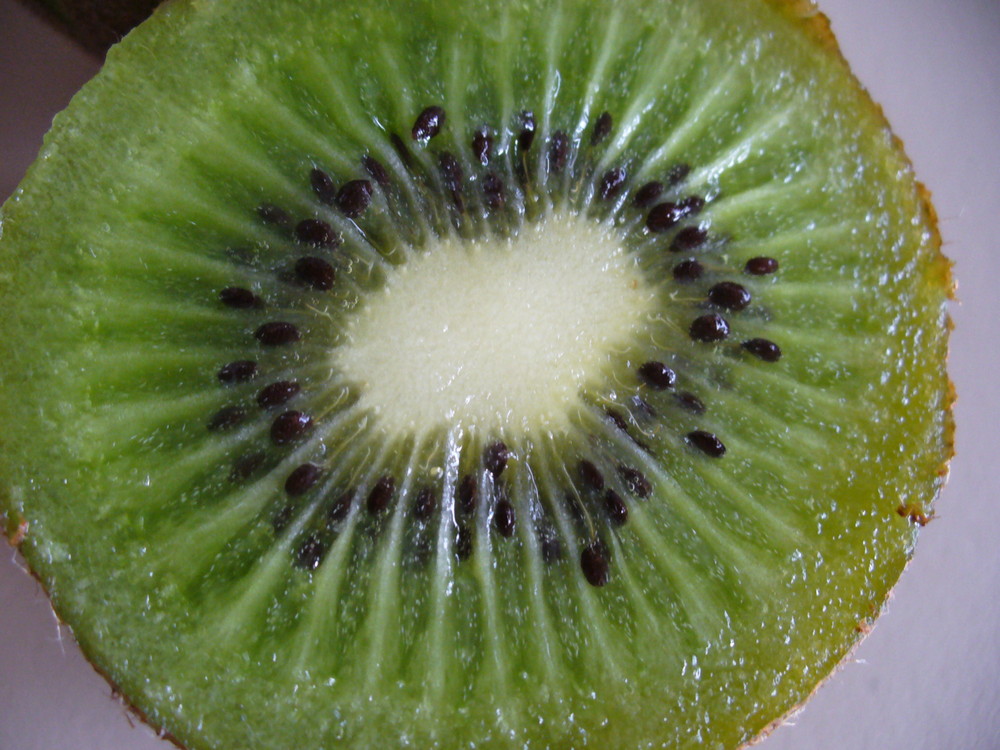 *Kiwi*