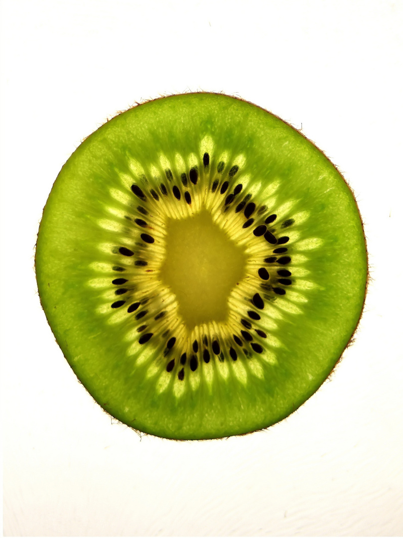 Kiwi