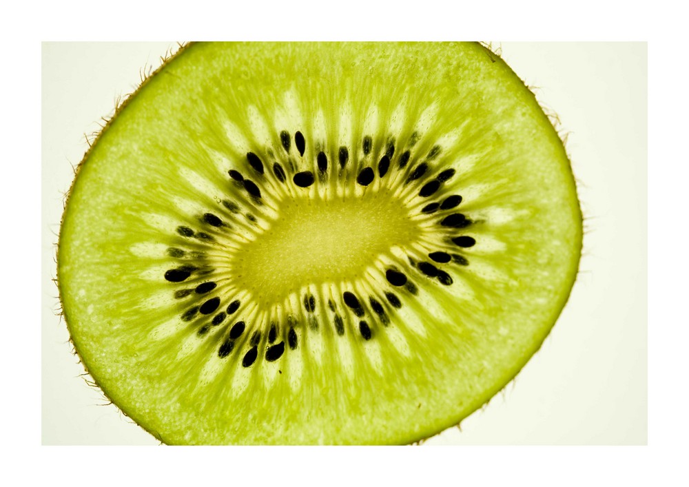 kiwi