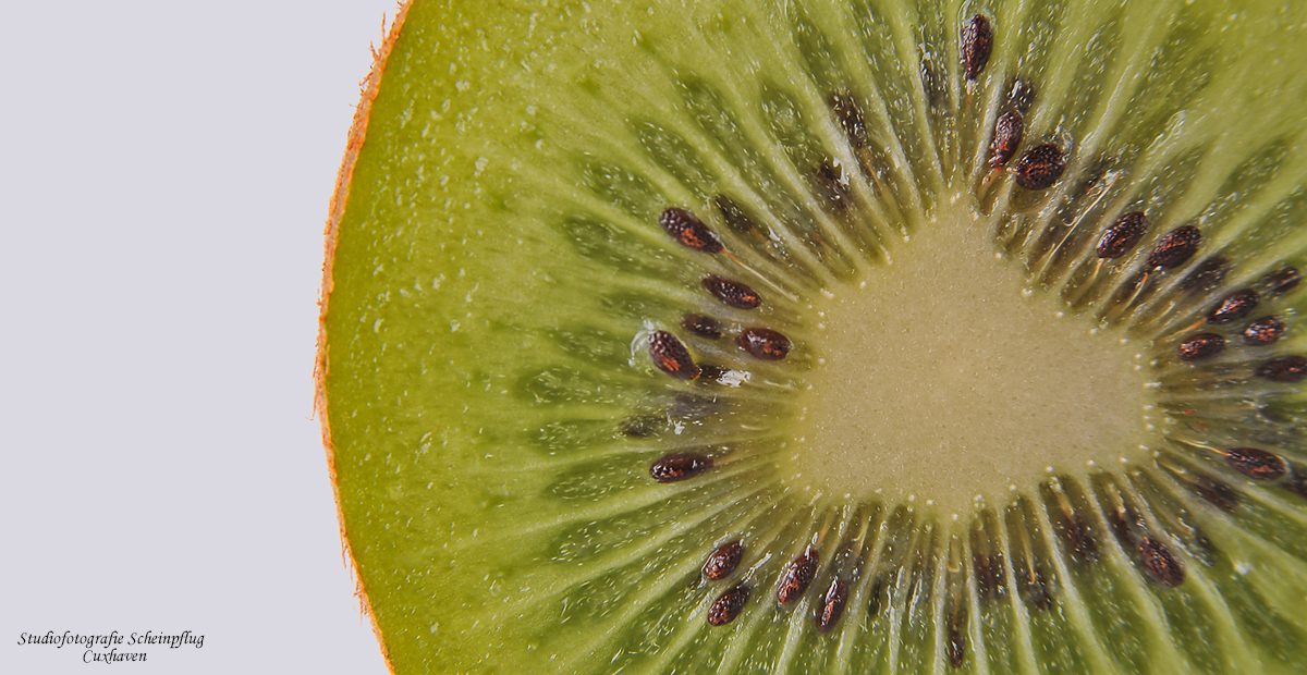 Kiwi