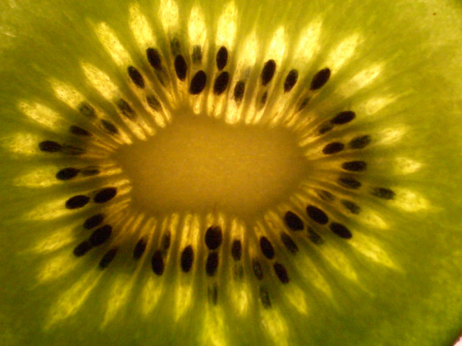 Kiwi