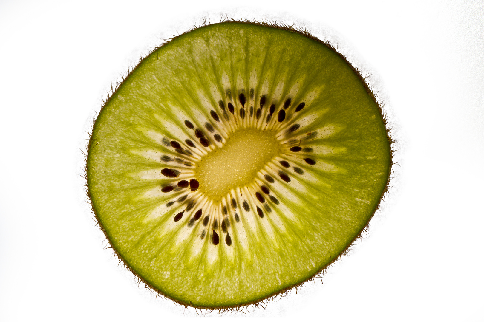 kiwi.