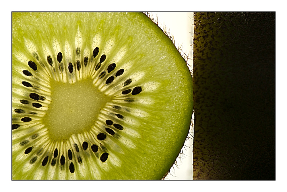 .: kiwi