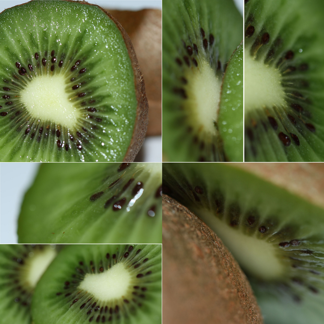 Kiwi Alive