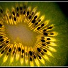 Kiwi Backlit