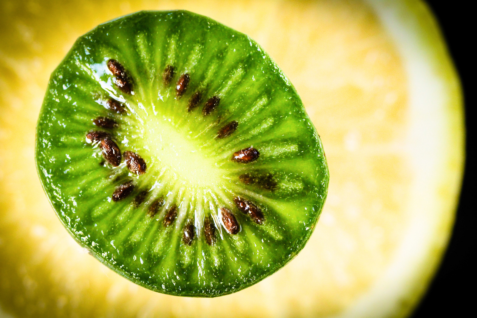 Kiwi-Beere