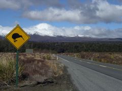 Kiwi Crossing