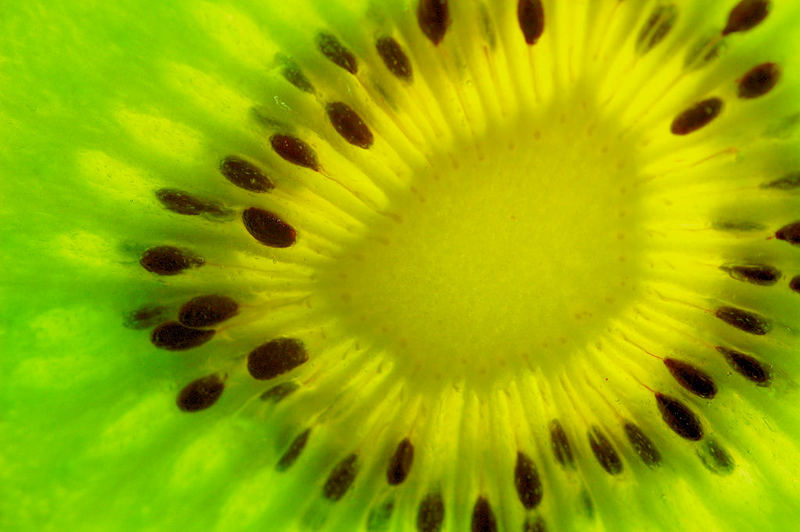 Kiwi