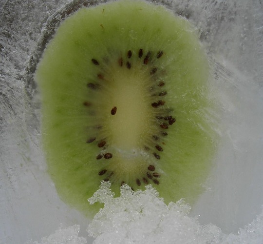 kiwi-eis?