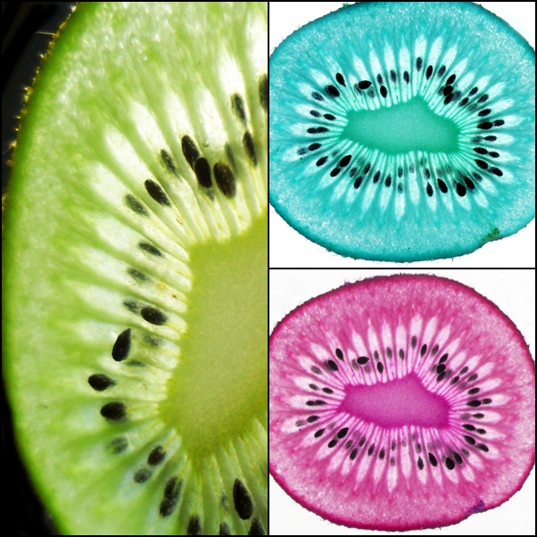 Kiwi