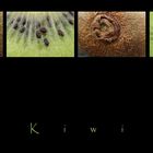 . kiwi .