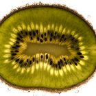 Kiwi fresh