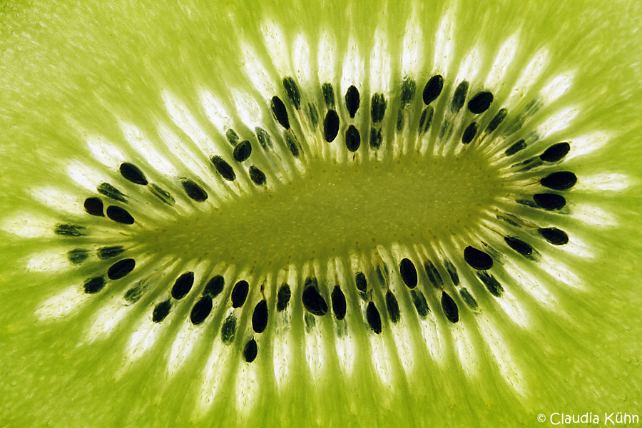 Kiwi im Detail