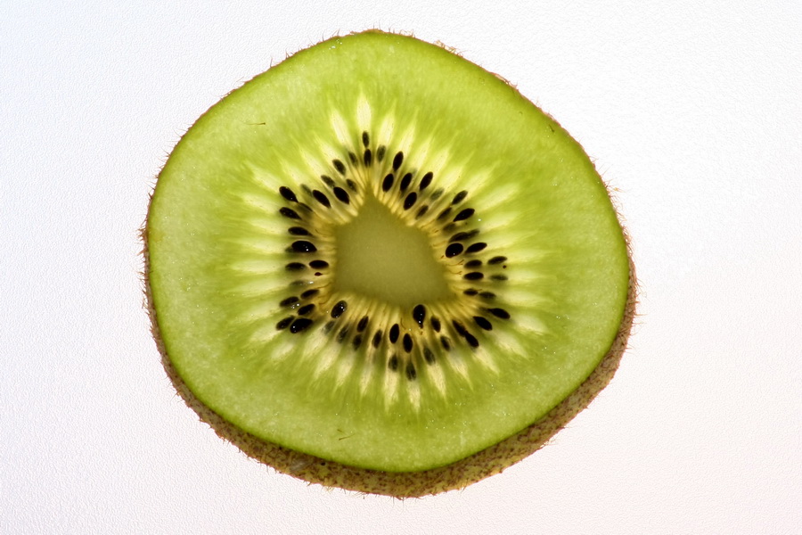 Kiwi im 'Gegenlicht'