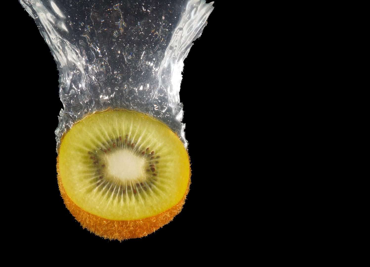 Kiwi im Wasser 2