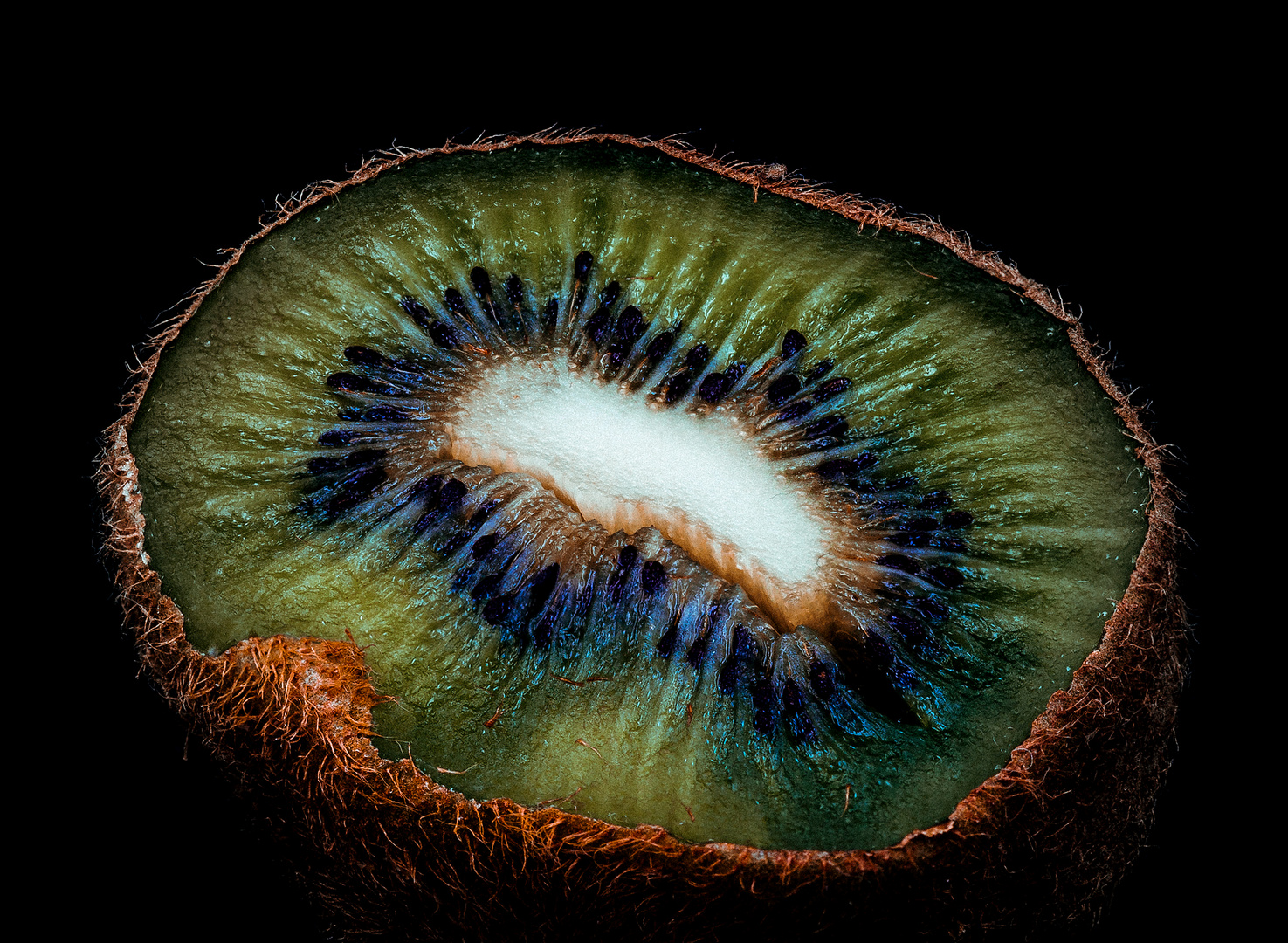 kiwi insel