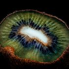 kiwi insel