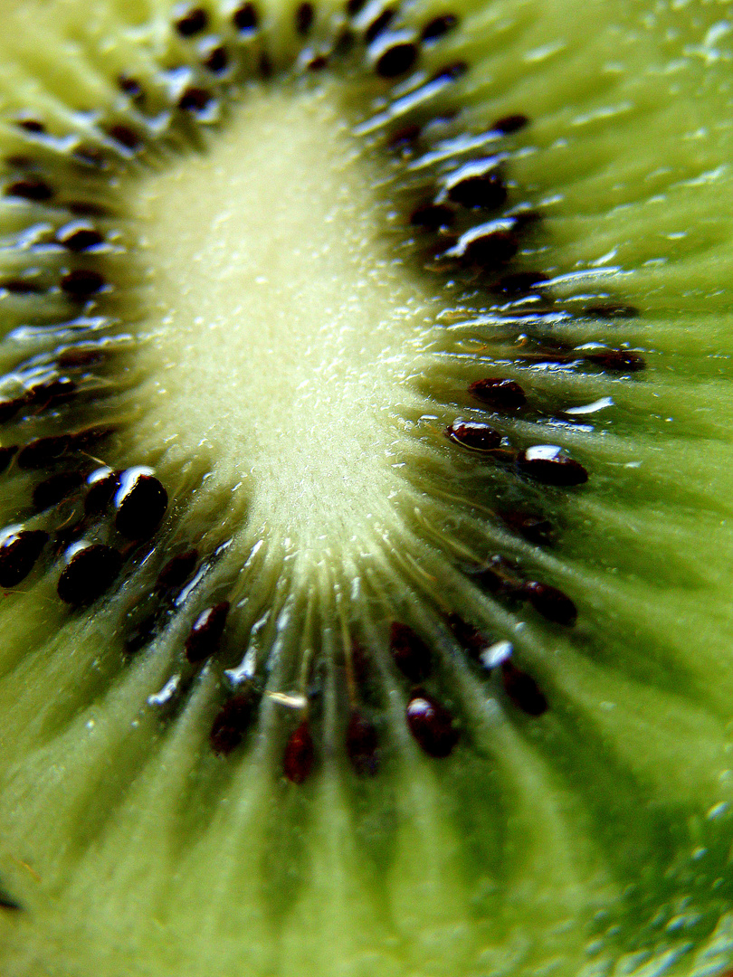 Kiwi, Kiwi, Kiwi.