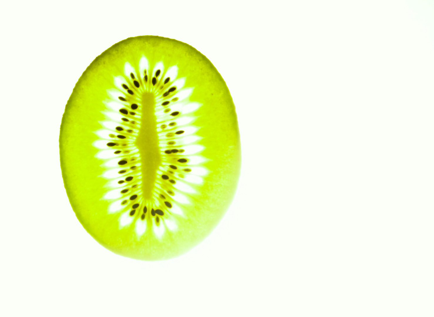 Kiwi Light