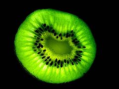 Kiwi luminoso