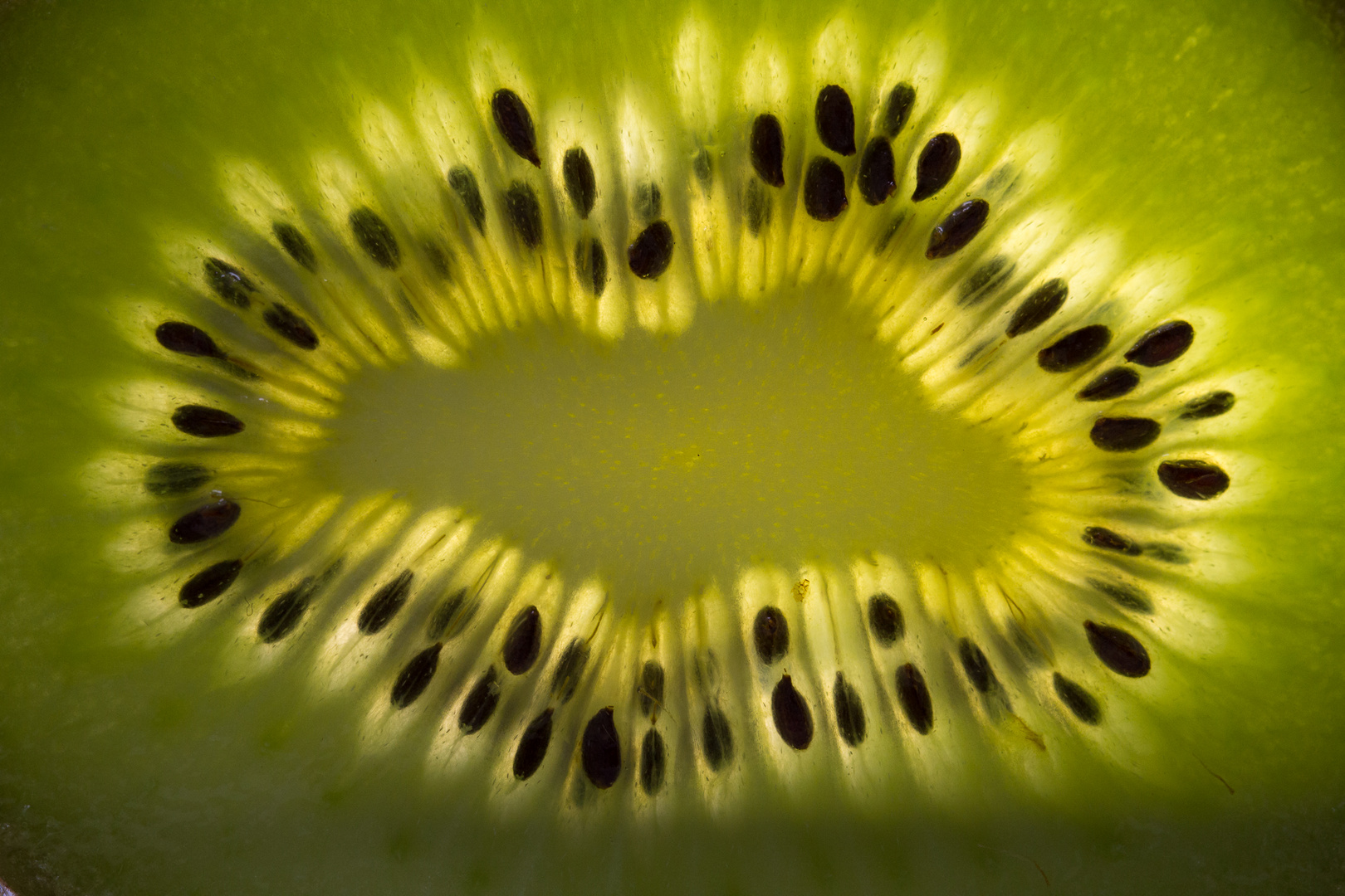 Kiwi mal anders ;-)