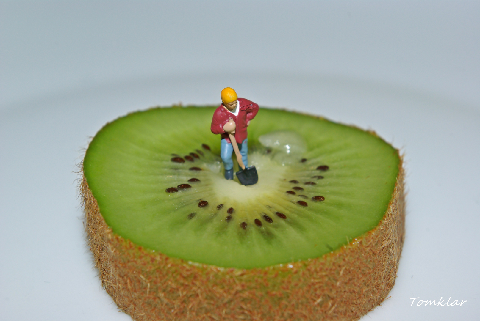 Kiwi Plantagen Arbeiter